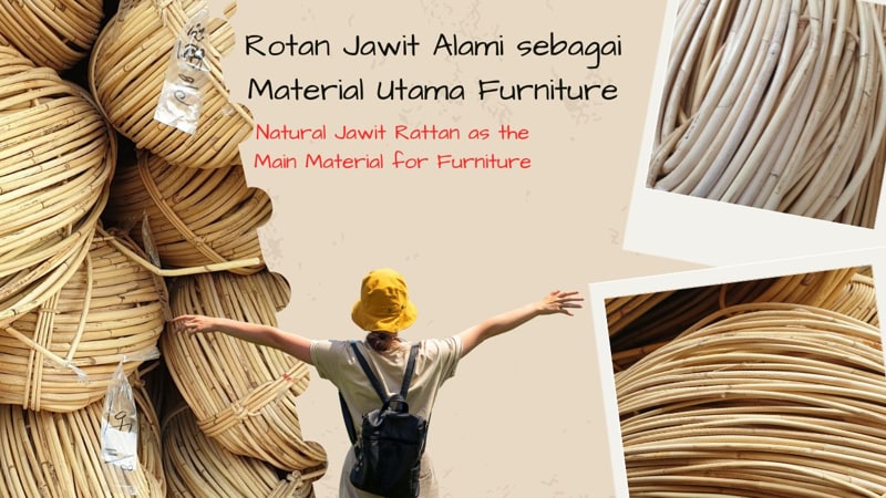 Rotan Jawit Alami sebagai Material Utama Furniture