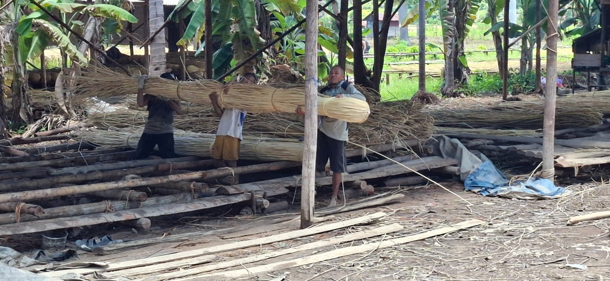 rotan bahan baku berkelanjutan