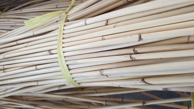 rotan jawit alami natural kualitas premium