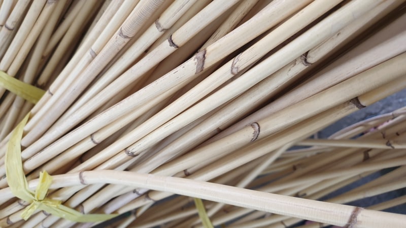 rotan jawit alami natural